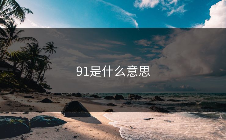 91是什么意思