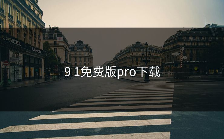 9 1免费版pro下载 9 1免费版pro下载
