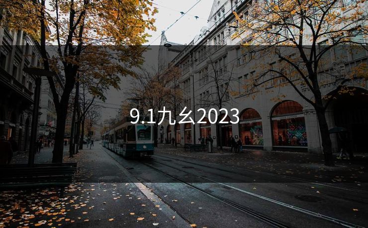 9.1九幺2023