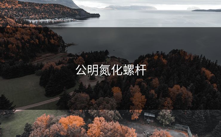 公明氮化螺杆 公明氮化螺杆