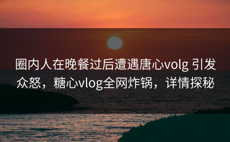 圈内人在晚餐过后遭遇唐心volg 引发众怒，糖心vlog全网炸锅，详情探秘